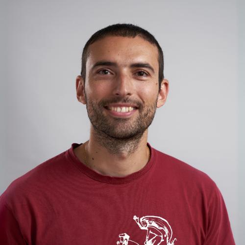 Fernando Hueso González